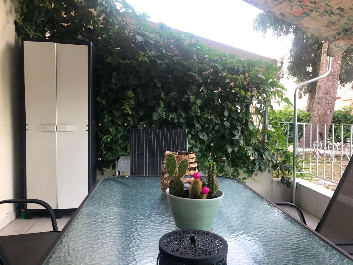 Anemos Apartment Palio PalaiónTsiflíkion Εξωτερικό φωτογραφία