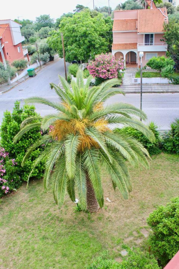 Anemos Apartment Palio PalaiónTsiflíkion Εξωτερικό φωτογραφία