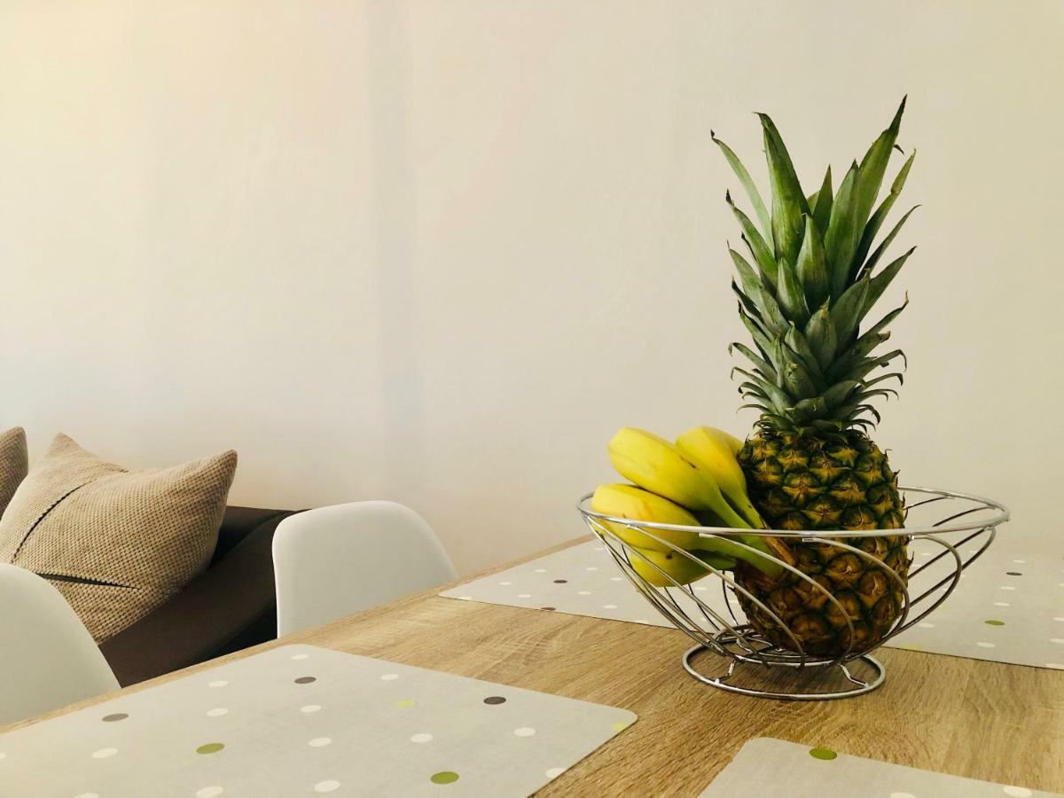Anemos Apartment Palio PalaiónTsiflíkion Εξωτερικό φωτογραφία